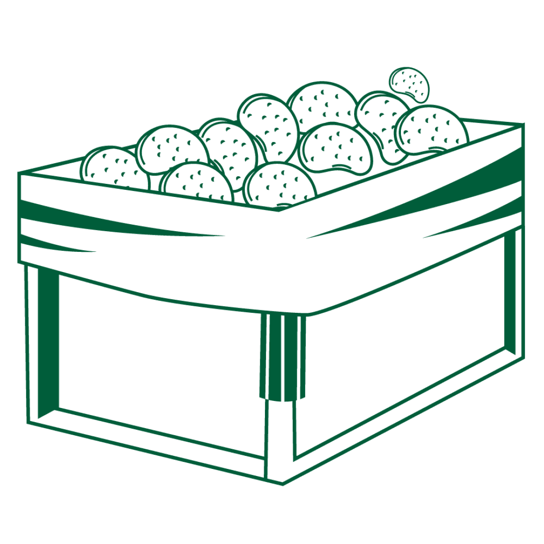Eine grün-weiße Illustration einer Holzkiste, die mit Kartoffeln gefüllt ist und über deren eine Seite ein Tuch drapiert ist.