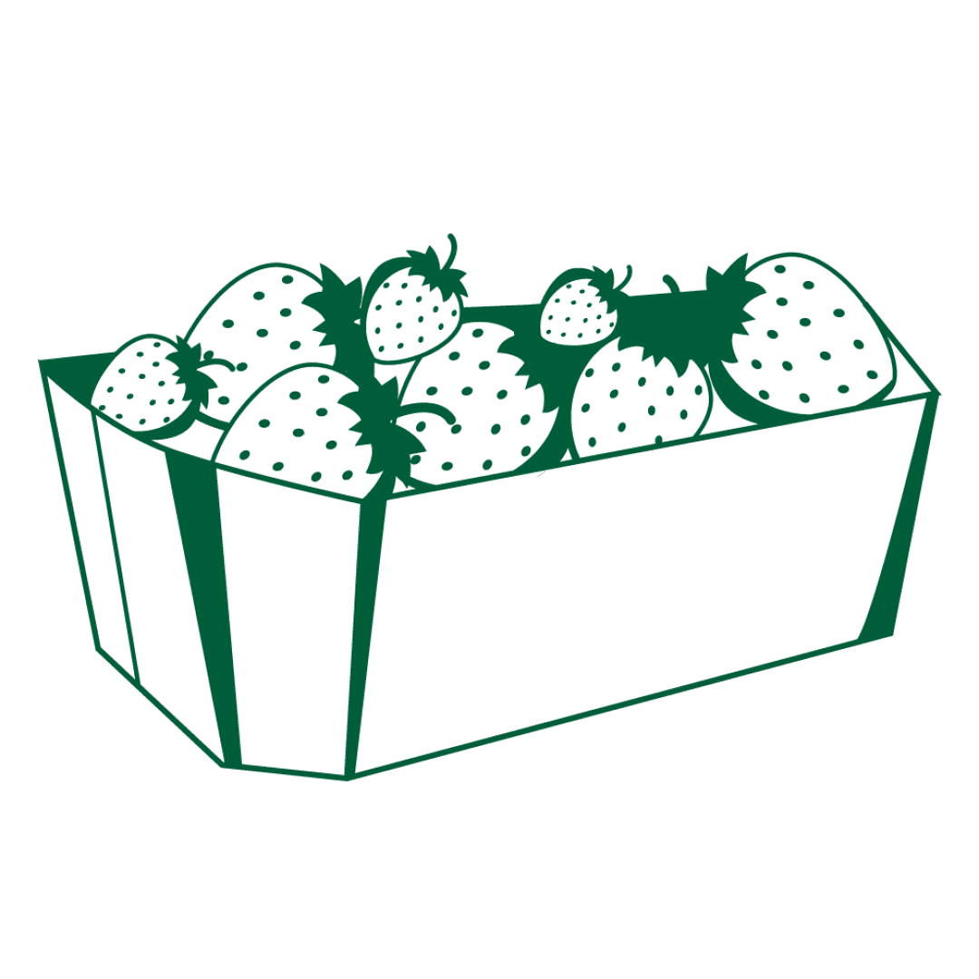 Eine grün-weiße Illustration eines rechteckigen Korbs, gefüllt mit Erdbeeren, die jeweils kleine Kerne und grüne Blätter haben, vor einem einfarbigen Hintergrund.