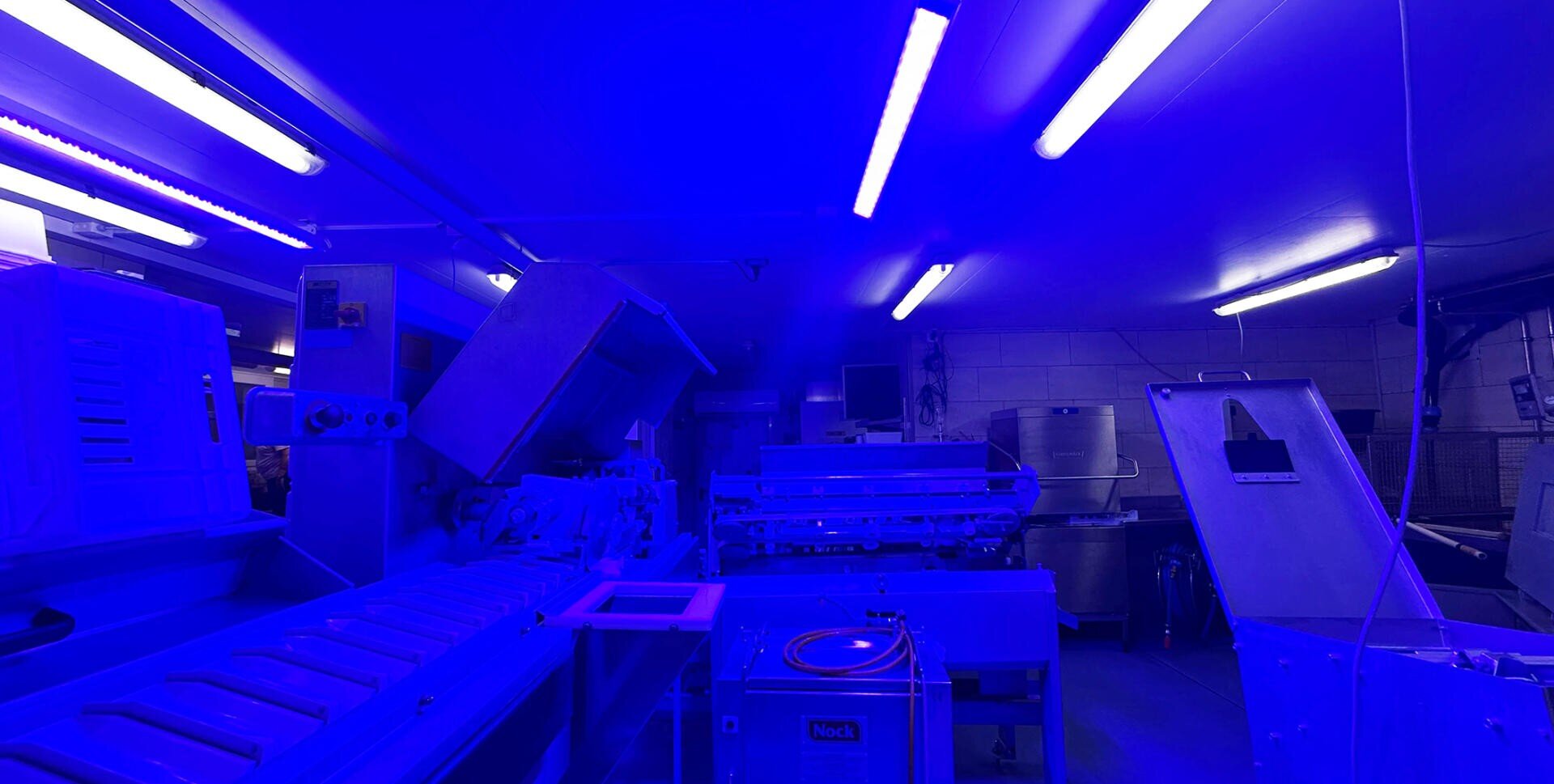 Eine Fabrik- oder Großküche, die mit Edelstahlgeräten ausgestattet ist, wird von intensivem blauem Licht aus Leuchtstoffröhren an der Decke beleuchtet.