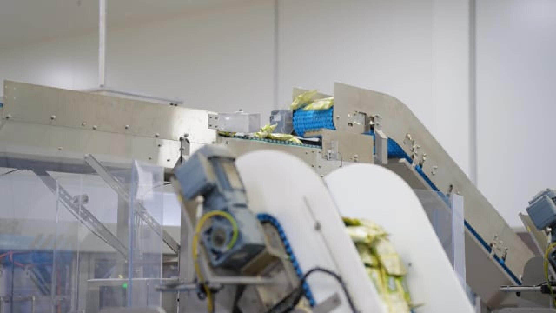Förderbänder in einer Fabrik befördern verpackte Artikel – beispielsweise Lebensmittel oder Konsumgüter – durch automatisierte Maschinenanlagen in einer sauberen Industrieumgebung.